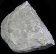 Keokuk Geode With Large Crystals (Half) #33959-3